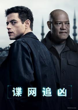 谍网追凶
